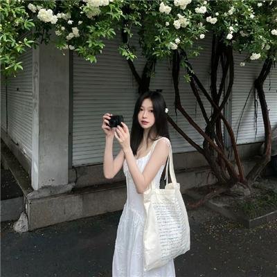 大清盐商
